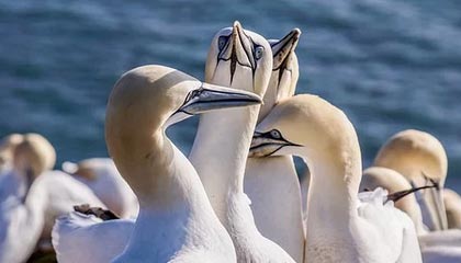 备战U23亚洲杯检验球队阵容 U22国足热身小胜