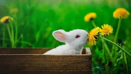 德约：五盘三胜制让我打起来非常非常困难，三盘两胜更有机会